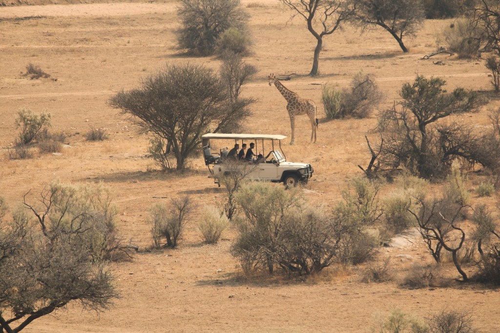 Safari-tour in een savannelandschap