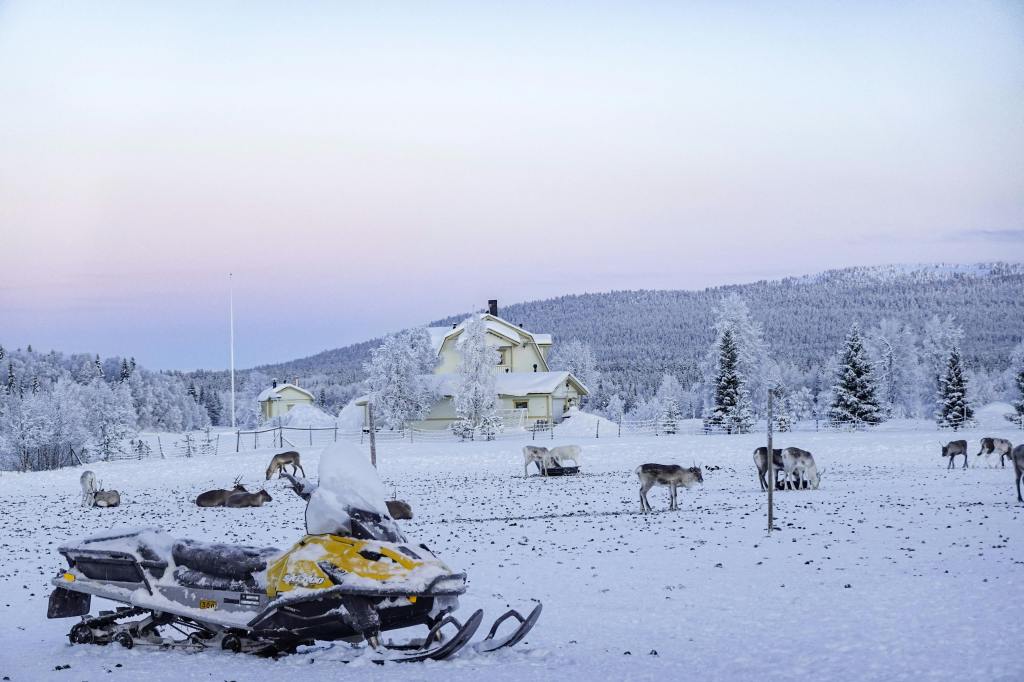 Sneeuwscooter met op de achtergrond rendieren